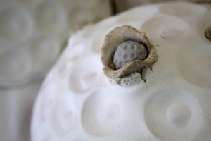 POLEN by Luis Torres Ceramics detalle cerámica contemporánea escultura conceptual